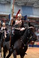 Cavalry - 00234
